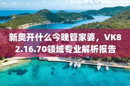新奥开什么今晚管家婆，VK82.16.70领域专业解析报告