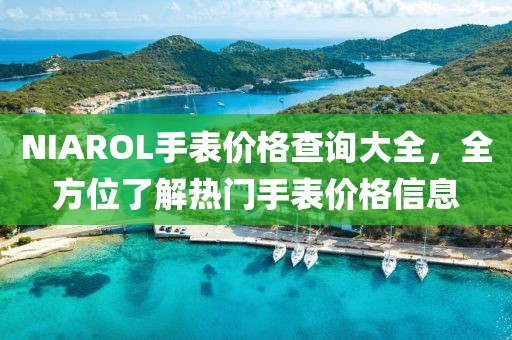 NIAROL手表价格查询大全，全方位了解热门手表价格信息