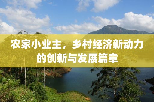 农家小业主，乡村经济新动力的创新与发展篇章