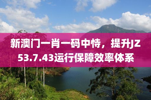 新澳门一肖一码中恃，提升JZ53.7.43运行保障效率体系
