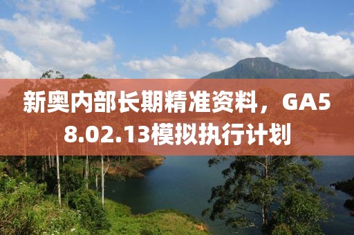 新奥内部长期精准资料，GA58.02.13模拟执行计划