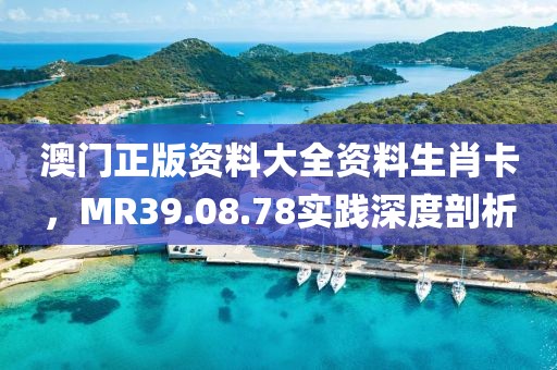 澳门正版资料大全资料生肖卡，MR39.08.78实践深度剖析