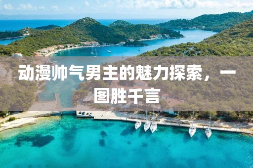 动漫帅气男主的魅力探索,一图胜千言