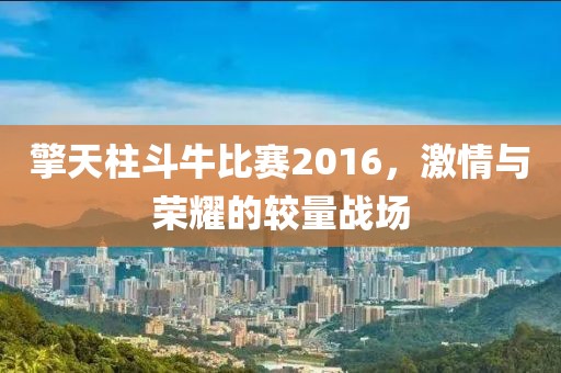 擎天柱斗牛比赛2016,激情与荣耀的较量战场