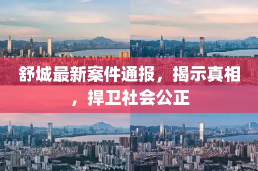 舒城最新案件通报,揭示真相,捍卫社会公正