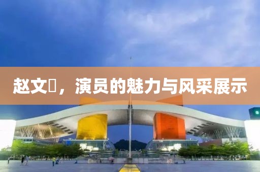 赵文瑄,演员的魅力与风采展示