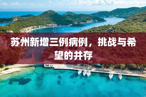 苏州新增三例病例,挑战与希望的并存