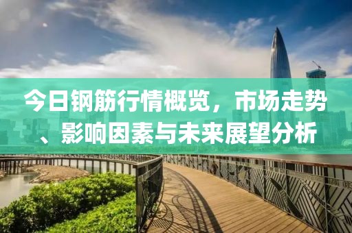 今日钢筋行情概览,市场走势、影响因素与未来展望分析