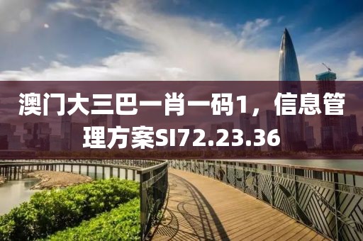澳门大三巴一肖一码1，信息管理方案SI72.23.36