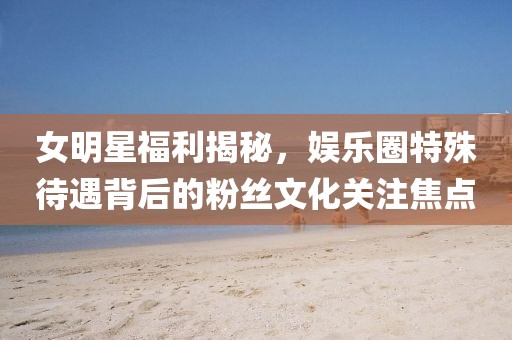 女明星福利揭秘，娱乐圈特殊待遇背后的粉丝文化关注焦点