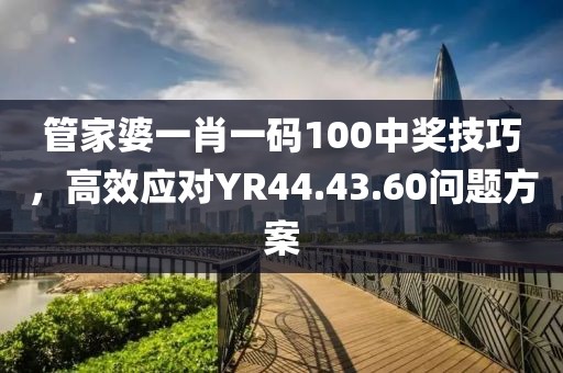 管家婆一肖一码100中奖技巧，高效应对YR44.43.60问题方案