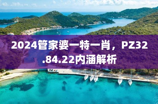 2024管家婆一特一肖，PZ32.84.22内涵解析
