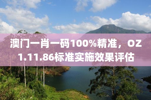 澳门一肖一码100%精准，OZ1.11.86标准实施效果评估