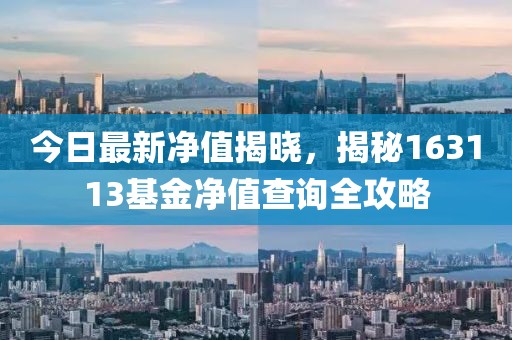 今日最新净值揭晓，揭秘163113基金净值查询全攻略