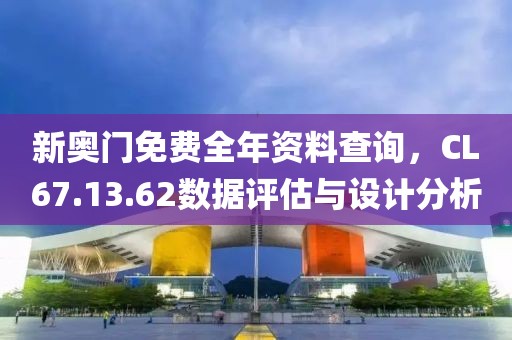 新奥门免费全年资料查询，CL67.13.62数据评估与设计分析