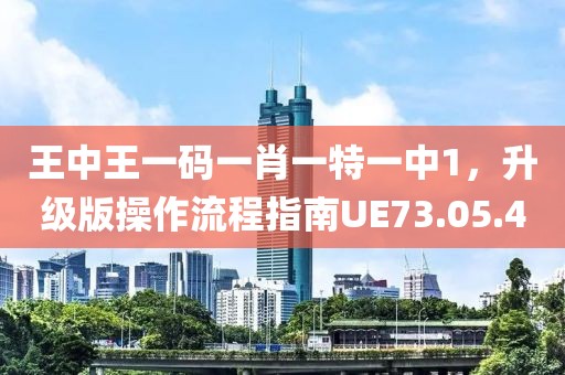 王中王一码一肖一特一中1，升级版操作流程指南UE73.05.40