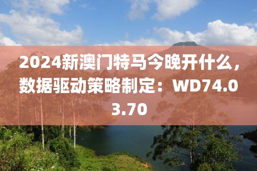 2024新澳门特马今晚开什么，数据驱动策略制定：WD74.03.70