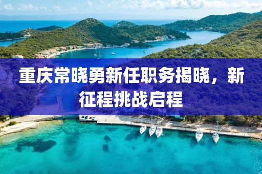 重庆常晓勇新任职务揭晓，新征程挑战启程