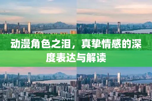 动漫角色之泪，真挚情感的深度表达与解读