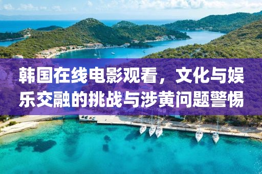 韩国在线电影观看，文化与娱乐交融的挑战与涉黄问题警惕