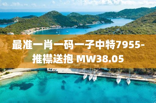 最准一肖一码一子中特7955-推襟送抱 MW38.05