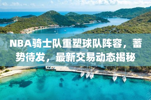 NBA骑士队重塑球队阵容，蓄势待发，最新交易动态揭秘