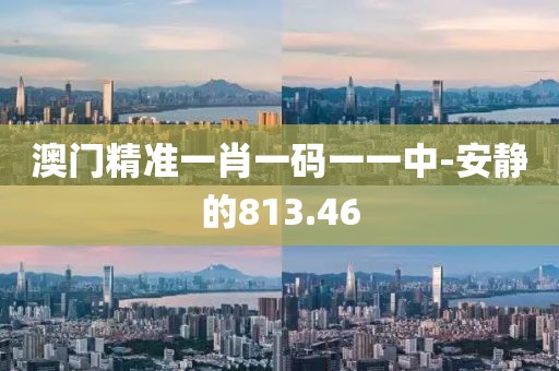 澳门精准一肖一码一一中-安静的813.46
