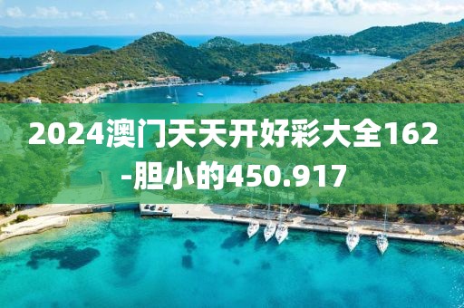 2024澳门天天开好彩大全162-胆小的450.917
