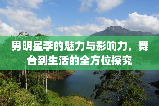 男明星李的魅力与影响力，舞台到生活的全方位探究