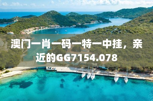 澳门一肖一码一特一中挂，亲近的GG7154.078