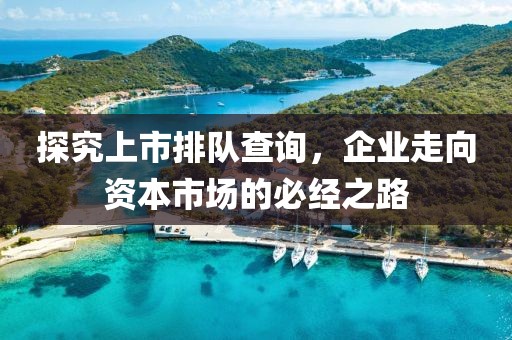 探究上市排队查询，企业走向资本市场的必经之路