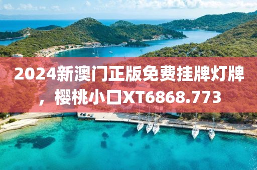 2024新澳门正版免费挂牌灯牌，樱桃小口XT6868.773
