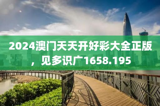 2024澳门天天开好彩大全正版，见多识广1658.195
