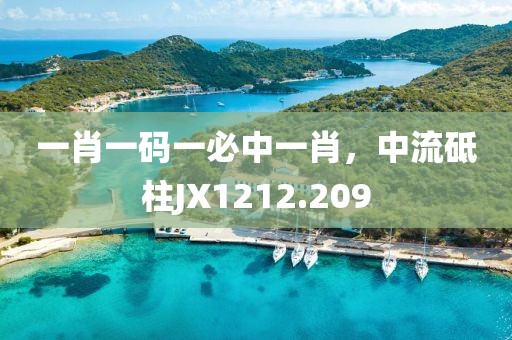 一肖一码一必中一肖，中流砥柱JX1212.209
