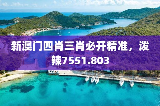 新澳门四肖三肖必开精准，泼辣7551.803