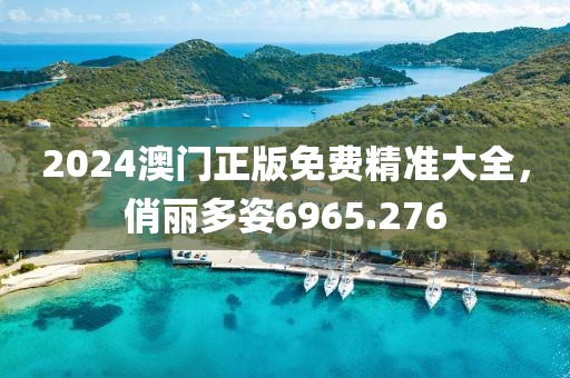 2024澳门正版免费精准大全，俏丽多姿6965.276