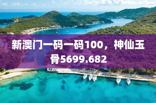 新澳门一码一码100，神仙玉骨5699.682