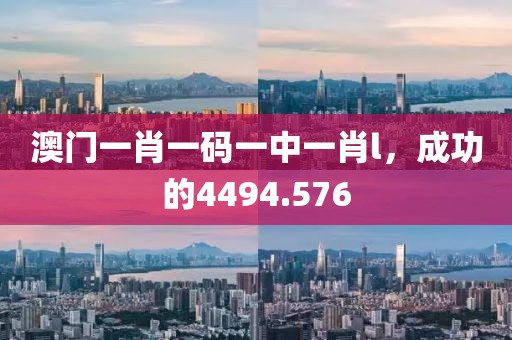 澳门一肖一码一中一肖l，成功的4494.576
