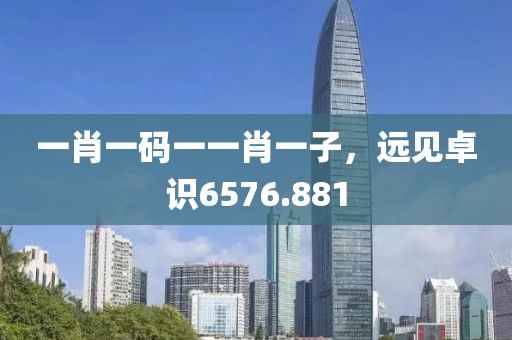 一肖一码一一肖一子，远见卓识6576.881