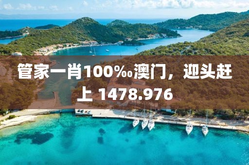 管家一肖100‰澳门，迎头赶上 1478.976