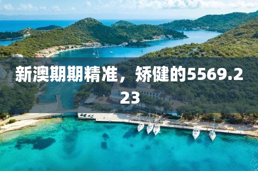 新澳期期精准，矫健的5569.223