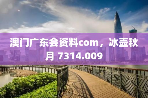 澳门广东会资料com，冰壶秋月 7314.009
