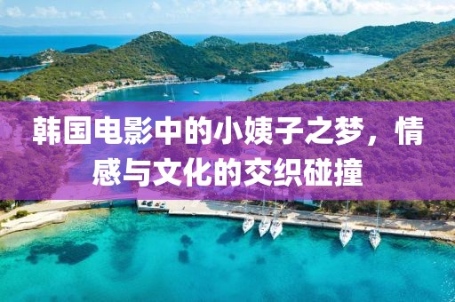 韩国电影中的小姨子之梦，情感与文化的交织碰撞