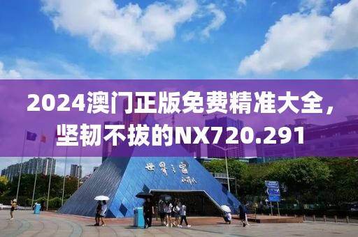 2024澳门正版免费精准大全，坚韧不拔的NX720.291