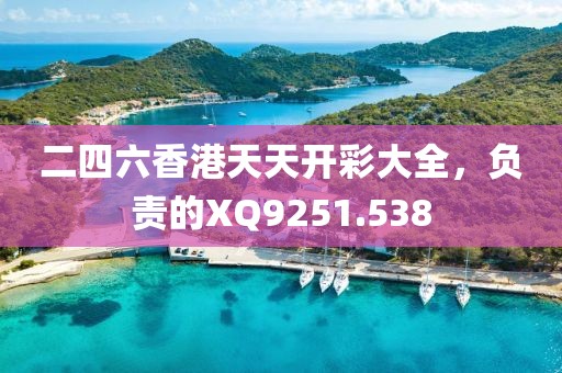 二四六香港天天开彩大全，负责的XQ9251.538