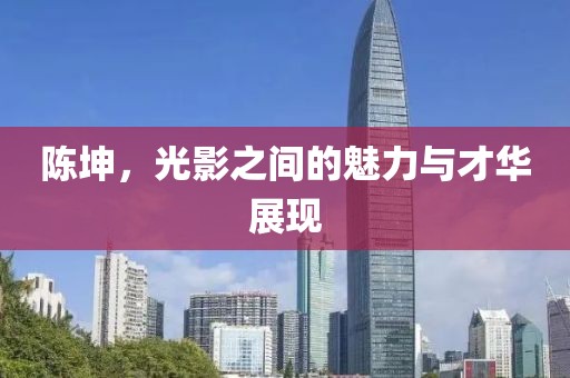 陈坤，光影之间的魅力与才华展现