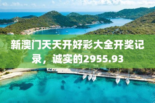 新澳门天天开好彩大全开奖记录，诚实的2955.93