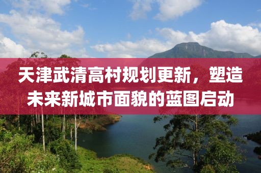 天津武清高村规划更新，塑造未来新城市面貌的蓝图启动