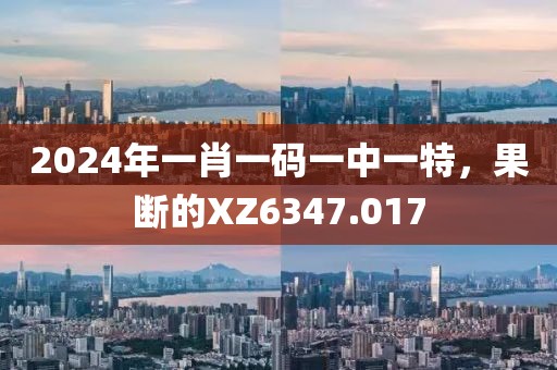 2024年一肖一码一中一特，果断的XZ6347.017