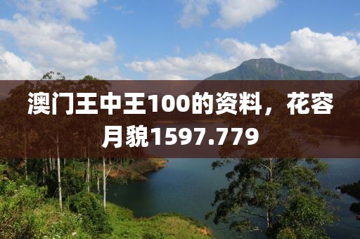 澳门王中王100的资料，花容月貌1597.779